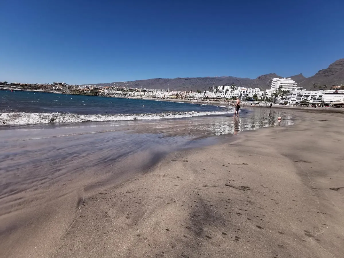 Home2Book Apart Costa Adeje, Pool 0*, 阿德耶